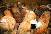 Aynı enstitüde görevli Dr Jacques Holt ise Bu köyün inanılmaz fantastik bir coğrafyası var Bu mağarada üretilen ürün çok özgün Bu peyniri dünyanın bilmeye hakkı var Dünya bunu tanımalı O yüzden organize olup bu ürünün standartlaştırılması ticari olarak üretilmesi lazım ifadelerini kullandı