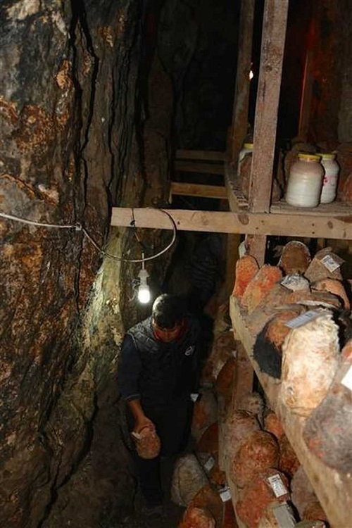 Coğrafi olarak Rokfor ile burası birbirine çok benziyor Rokfor peyniri de buradaki gibi mağarada üretiliyor İsmini üretildiği yerden alıyor Fransızlar mağaradaki bakteriyi mayayı izole ettiler Endüstriyel hale getirdiler Aradaki fark bu Burada ise bakterinin üretilme durumu yok Bu peynir çok özel Rokfordan farklı olarak keçi derisinde muhafaza ediliyor Bu çok özgün bir durum Eğer geliştirirseniz bu özellik Divle Obruk peynirini dünyada tek yapabilecek bir unsur Rokfor mağaraya kalıp olarak bırakılır Belirli bir standardı vardır Bu standardı korumak için köylülerden kooperatif aracılığıyla süt toplanır Rokfor a getirilir ve orada üretilir