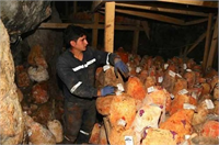 Eski adı Divle olan köyde köyde koyun ve keçi sütünden üretilip mağarada bekletilen peynirler Türkrokforu olarak nitelendiriliyor ve dünyanın en kaliteli peynirleri arasında gösteriliyor