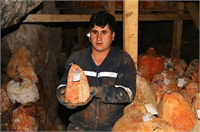 Fransa Ulusal Hayvancılık Araştırma Enstitüsünden uzmanlar Karaman ın Ayrancı ilçesine bağlı Üçharman köyünde doğal yöntemlerle üretilen ve yerin 36 metre altındaki mağarada bekletilerek muhafaza edilen Divle Obruk Peyniri ni inceledi