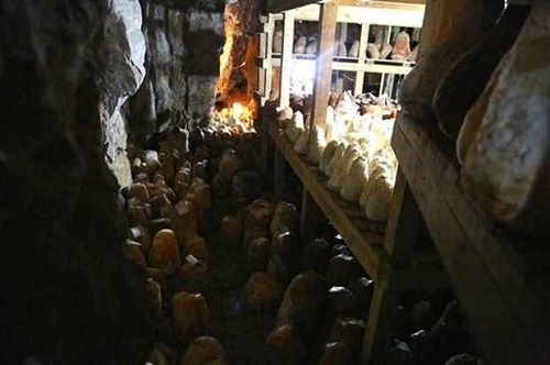 Meralarda doğal ortamda yayılan koyunlardan sağılan sütün kaynatılıp mayalanmasından sonra peynir haline getirildiğini ifade eden Kütahyalı şöyle devam etti