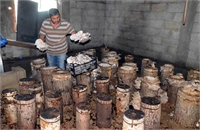 Keserci emekli olduğunu ve gününü boş geçirmemek için internette yapabileceği işlerle ilgili araştırmalar yaptığını söyledi