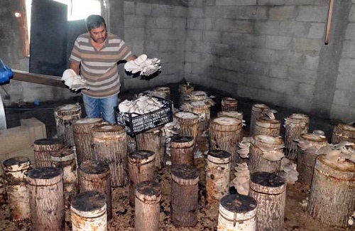 Keserci emekli olduğunu ve gününü boş geçirmemek için internette yapabileceği işlerle ilgili araştırmalar yaptığını söyledi