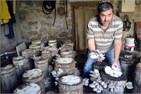 Sosyal medyada gördü bodrumunda yetiştiriyor