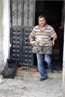 Bodrumda yetiştirmemin nedeni bu mantarların rutubet istemesi O nedenle az güneş ışığı alan yerde yetiştiriyorum İşlerimi büyütmek istiyorum ancak Zonguldak ta bu mantarı bilen fazla kişi olmadığı için girişimlerim sınırlı kalıyor Mantarı yetiştirmek için herhangi bir gübre veya ilaç da kullanmıyorum Kütüklere tohumladığımda tamamen doğal yetişiyor ifadesini kullandı