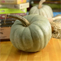 İçerdiği bol betakaroten sayesinde kansere karşı etkili bir sebze