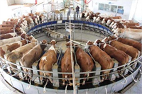 İki Türk mühendis yaptı Avrupa yı hayrete düşürdü