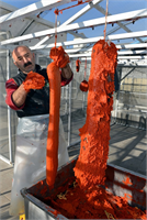 Pastırma üretimi etin seçiminden itibaren mevsim şartlarına göre yaklaşık bir ay sürüyor Kesimden sonra dinlendirilerek pastırmalık kısımları seçilen etler şekil verilip iplere geçiriliyor Tuzlanarak bir süre bekletilen pastırmalık etler yıkandıktan sonra ağırlık altında preslenerek içindeki kan ve tuzlu sudan arınması sağlanıyor Açık havada kurutulan etler 1 2 gün çemene yatırılıyor Yeniden kurutma işlemine tabi tutulan etler çemenle kaplandıktan sonra kurutularak tüketime hazır hale getiriliyor