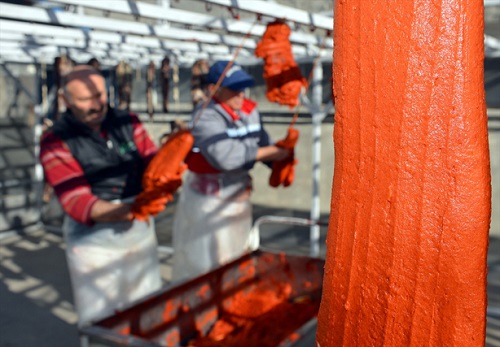 Tam bin 500 yıllık Türk lezzeti pastırma Tarihi yüzyıllar öncesindeki Orta Asya Türklerine kadar uzanan pastırma günümüzde üretiminin büyük bölümünün yapıldığı Kayseri de damaklara hitap ediyor
