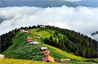 Rize yaylaları Rize yaylaları Artvin den sonra Karadeniz in en şifalı yerlerindendir Doğal bitki örtüsü ve yağışlarının bol olması nedeniyle Artvin yaylaları ile hemen hemen aynı şifalı havaya sahiptir Astım akciğer karaciğer mide kalp ve kanser gidi hastalıklara iyi geldiği gözlemlenmiştir