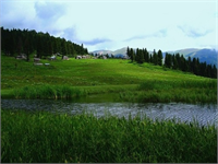 Kelkit vadisi yaylaları Karadeniz in iç kesimlerinde Koyulhisar Mesudiye Şebinkarahisar sınırlarının kesiştiği bölgede yer alan yaylalar rakım olarak 2000 3000 arasıdır Eğriçimen yaylası karagöl yaylaları sisorta yaylaları yapılan ölçümler sonucunda Türkiye nin en fazla oksijen olan ikinci bölgesi olmasının yanı sıra kendi oksijenini üretme özelliği de bulunuyor Bölgenin hem yoğun orman aynı zamanda sarp kayalık olduğundan hava akımıda hızlı olarak oksijeni temizliyor Akciğer mide kolesterol kalp şeker hazımsızlık iştahsızlık gibi hastalıklara iyi geldiği gözlemlenmiştir