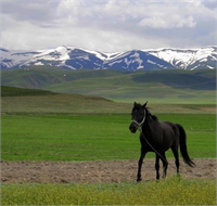 Erzurum yaylaları Erzurum merkezi sanayileşmeden dolayı temiz hava özelliğini kaybetmiştir Ancak yayla ilçesi ve yaylaları halen bu özelliğini korumaktadır Astım ve akciğer hastalıklarına iyi geldiği gözlemlenmiştir