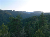 Bolu dağı İstanbul ile Anadolu arasında yolculuk yapanların geçerken ayaküstü ziyaret ettikleri muhteşem yer aslında bir şifa deposudur Bolu dağı yaylaları Marmara bölgesine en yakın temiz hava olarak ölçülmüştür Bolu dağında konaklayacağınız 10 gün sonucunda bir çok rahatsızlıklarınızdan iyi geldiği hatta şeker astım kalp tansiyon kolesterol gibi hastalıkların iyileşme evresine girdiği gözlemlenmiştir