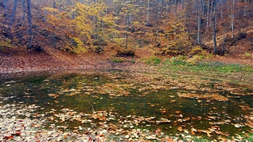 Sonuna geldiğimiz sonbaharın güzelliği Uludağ da göz kamaştırmaya devam ediyor