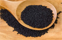 Bu bitkinin tohumlarının şifa gücü tam üç yüz bin yıldan beri bilinmekte Son 40 yıldır yapılan bilimsel çalışmalar da onun bu saygıyı fazlasıyla hak ettiğini doğruluyor Mısır kökenli bir bitki çörek otu Tutankamon mezarında bulunması da o dönem bu tohumlara ne kadar değer verildiğinin kanıtı gibi adeta Ünlü Yunanlı hekim Dioscorides çörek otu tohumlarını ve bu tohumların yağını hastalarında ilaç olarak kullanmış