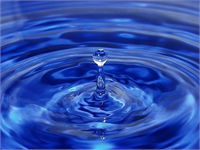 Kilo alma Vücudunuz etkin bir şekilde toksinleri elimine edemez ve yağ hücrelerinin içinde saklar Bunun yanında eğer vücut yeterli su ile toksinlerin güvenli bir şekilde atamıyorsa yağ hücresini serbest bırakmaz