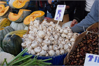 Mantar Araştırmalar sonucunda özellikle tansiyon düşürücü etkisi olduğu sonucuna varılmıştır Yine bazı mantar türlerinin kansere yakalanma riskini azalttığı biliniyor Japon araştırmacıların elde ettikleri sonuçlara göre düzenli mantar tüketimi kan kolesterolünü 40 a kadar azaltabiliyor