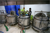 Deniz patlıcanı bizim bölgemizde sadece Ege Denizi nde görülen bir canlı