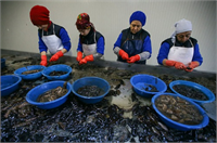 Çin pazarına girdikten sonra hem kalite hem lezzet anlamında belli bir yere geldiklerini kaydetti