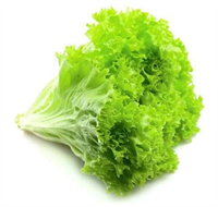 Marul biraz büyük ve derin bir saksıda kendi marullarınızı kolaylıklar yetiştirebilirsiniz