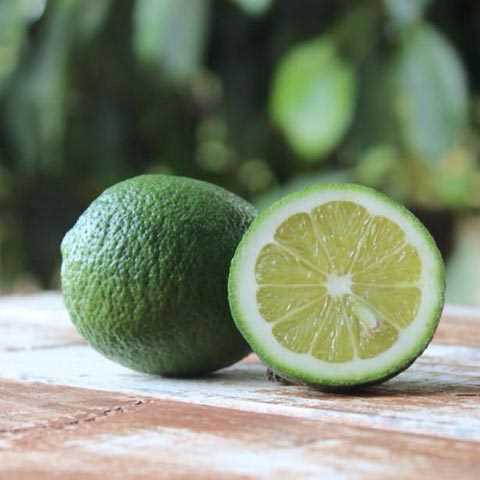 Ağız Sağlığına İyi Gelir C Vitamini eksikliği diş eti iltihabı diş etlerinde kanama ve iskorbüt gibi ağız problemlerine yol açar