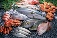 Arastırmalar haftada 1 balık tüketmenin beyindeki gri madde nöronlarını koruyabileceğini göstermiştir Çalışmalarda haşlanmış veya fırında kızartılmadan balık tüketenlerin beyindeki öğrenme ve hatırlama merkezinin etkilendiği görülmüştür