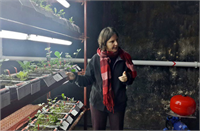 Bienal boyunca herkesin kendi eliyle ektiği otlar bireyleri kent bahçecililiğine davet etti ve sonunda yalnızca bir Bienal projesi olmaktan çıktı