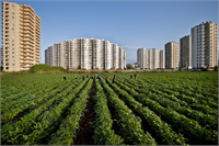 9 Konut yapımı için tarım arazilerinin seçilmesi