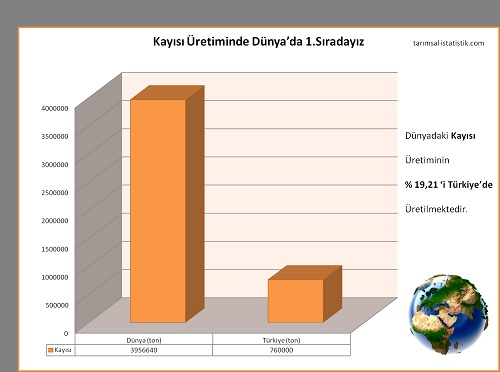 3 Malatya Kayısısı hem Türkiyeyi hemde Dünyayı Besliyor 19 21 ile ilk sırada