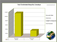 4 İncir mi 20 87 ile ilk sıradayız