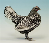 7 Zibrit Kalemle çizilmiş gibi durmuyor mu