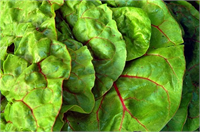 12 Yaban Pancarı Pazı Yaprağı Koyu yeşil yapraklı sebzeler potasyum magnezyum ve kan basıncını kontrol etmeye yardımcı mineraller bakımından zengindir Kalp dostu olmasının yanı sıra lif A vitamini ve antioksidanlar lutein ve zeaksantin içerir