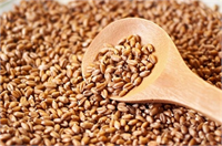 14 Arpa Bu lezzetli öğütülmemiş tahılı akşam yemeğinde pirincin yerine kullanmayı ya da çorba veya etli yemeklerle pişirmeyi deneyin Arpadaki lif kolesterolü ve kan glikoz seviyesini düşürmeye yardımcı olabilir