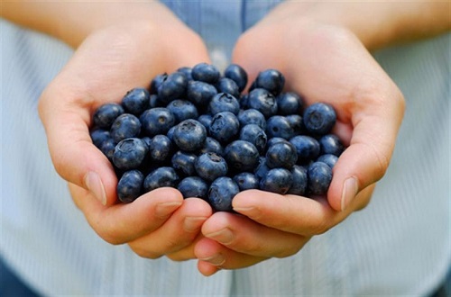23 Mavi Yaban Mersini Blueberries Mavi yemiş olarak da bilinen mavi yaban mersinindeki sağlıklı besinlerin listesi oldukça uzundur Meyveye koyu mavi rengi veren antosiyaninler kalp sağlığı için faydalıdır Bunun dışında elajik asit beta karoten lutein C vitamini folat magnezyum potasyum ve lif içerir