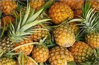 9 Ananas Ülkemizde ananas yemek bile zorken bi de bunun pahalasını görmek bizlere tuhaf gelebilir Bu İngiliz Ananası 19 yydan beri üretilmekte Üretilirken at gübresi idrar ve saman kullanılıyor Tane başına ortalama 16000 Dolara satılıyor