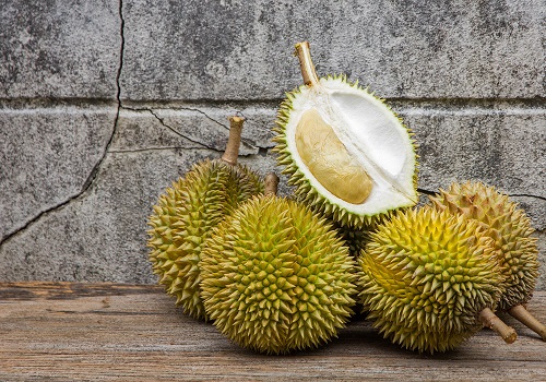 14 Durian Malezya ve Endonezya ya özgü olan Durian Meyve Kralı olarak bilinmekte Kokusunun oldukça kötü olduğu söylenir Meyve yaklaşık 40 metrelik ağaçlarda yetişir Tane fiyatı 200 Dolara kadar çıkar