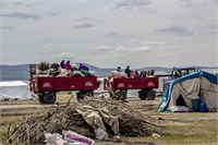 10 Sabahın erken saatlerinde tarlaya giden tarım işçileri traktörlerle bu şekilde ulaşım sağlıyorlar 4 ay boyunca yaşadıkları memleketlerinde genç yaşlı kadın çocuk demeden yaklaşık 6 ay boyunca zorlu bir mücadele veriyorlar