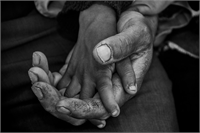 20 Her şeye rağmen göç onları birbirinden koparamıyor