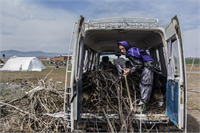 9 Yerleşme işleri ve göçün verdiği yorgunluk onları zorlayan bir diğer faktör İşçilerin en önemli talebi ise geldikleri topraklara sahip olup kendi üretimini kendilerinin yapabilmesi olarak tanımlıyorlar