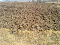 12 Mart Ahır gübresi uygulama Hafif bünyeli topraklara ahır gübresi uygulayınız