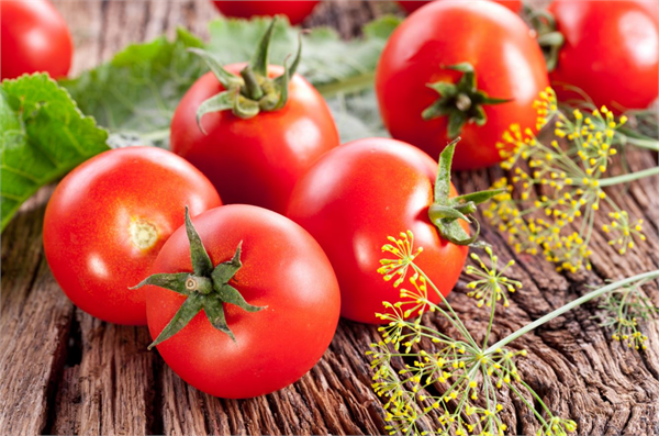 Kokteyl domates Salata ve yemeklerin dışında küçük boyutları ile direkt atıştırmalık olarak da tüketilen ve oldukça hoş bir aromaya sahip kokteyl domatesler raf ömrünün uzun olması nedeniyle üretimde tercih ediliyor