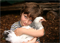 Tavukların matematiksel olarak sonuca varma kendini kontrol etme ve inşa etme bilgilerinin bir çocuk ile aynı olabildiği araştırmalarla kanıtlanmıştır