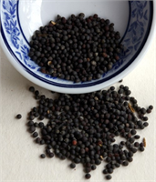 Siyah Hardal Tohumu Metabolizmanın düzenlenmesine yardımcı olur ve bedendeki yağların azaltılmasına destek olmaktadır