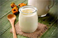 Kefir Kefir hele de mikropların kol gezdiği bugünlerde vücut direncini artırmada birebir Son yıllarda yapılan tüm çalışmalar düzenli tüketildiğinde kefirin üst solunum yolu enfeksiyonlarına karşı koruyucu olduğunu ortaya koyuyor Kefir gribal enfeksiyonlara karşı korurken bağırsakta kanser oluşturan etkenleri engelliyor probiyotik özelliği sayesinde sindirim sistemine yararlı oluyor Ayrıca sinirsel rahatsızlıklara iştahsızlık ve uykusuzluğa karşı da fayda sağlıyor