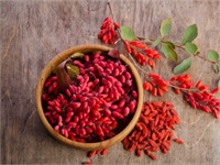 Goji Berry Sindirimi kolaylaştırır Enerji verici özelliği ile mutluluk hormonlarını harekete geçiren özelliği vardır