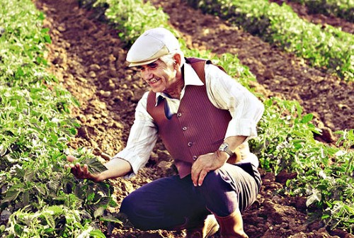 Güç şartlar altında çalışan yorulan çiftçilerimize saygılı olmalıyız Yiyeceklerimizin her birinde çiftçilerimizin alın teri ve göz nuru olduğunu unutmamalıyız