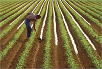 Toprağın daha iyi işlenebil mesi için ekim dikim bakım ve hasat işlerini yapmakta kullanılan alet ve makinalar tanıtılır