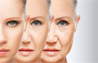 GENÇLİK İKSİRİ PATATES