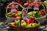 Vodafone Akıllı Köy ün ürün çeşitleri sepette yerini aldı