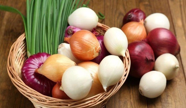 Soğan Soğanın sert bir kokuya sahip olması onun çoktan filizlendiğini işaret eder ve bu da soğanın daha az sıkı ve daha az çıtır çıtır olduğunu gösterir